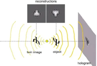 Figure 3-6: Twin Image Problem - Latychevskaia et al [16]