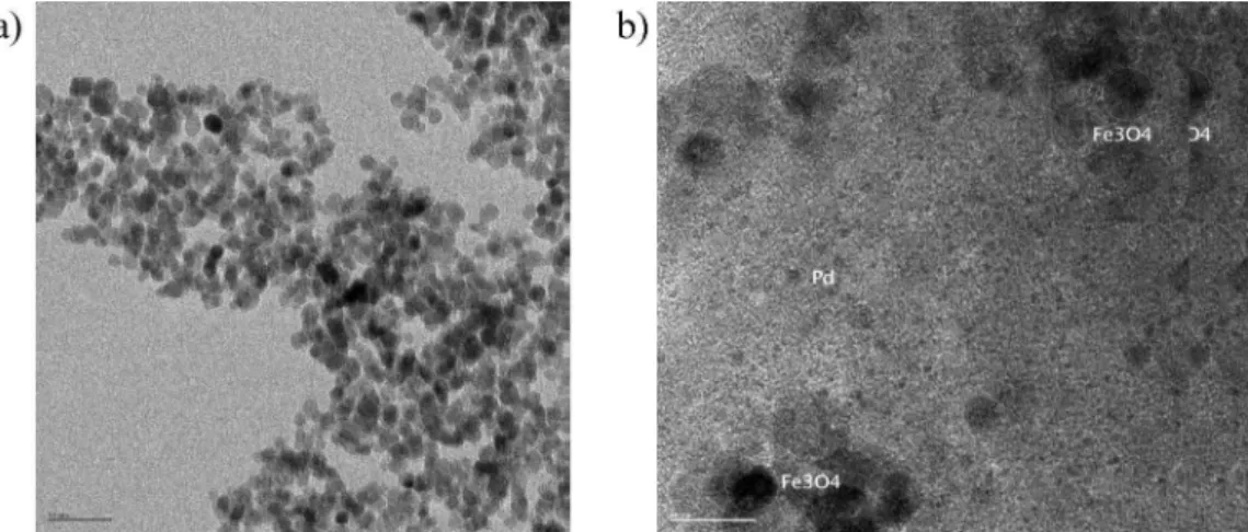 Figure 5. (a) TEM micrograph of magnetic nanoparticles modified with ionic liquid–liquid groups (MNP- IL-C 4 ), scale bar is 50 nm