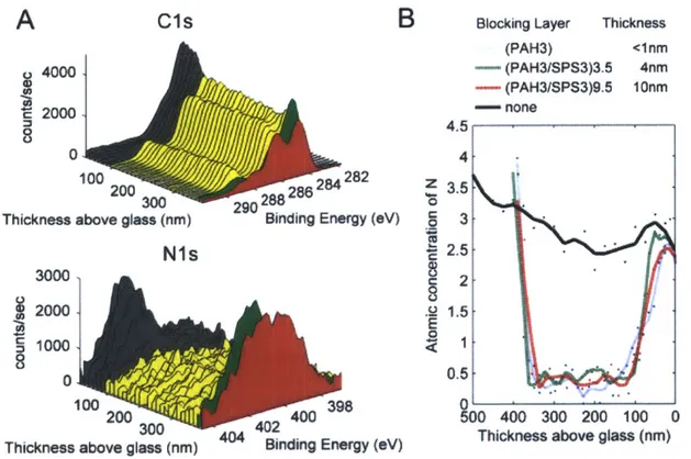 Figure  4-4:  Effect  of  a  blocking  layer  on  interlayer diffusion  of  chitosan  (A)  Cis  and Nis regions  from  depth  profiling  XPS  of  a  hydrogen  bonded  sample  with  a  (PAH3/SPS3) 3 5 blocking  layer  topped  with  (HA3/CH13) 3 5 