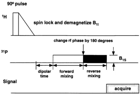 Figure  2-4:  Pulse  sequence  for  the  ADRF  differential  cross  polarization  experiment.
