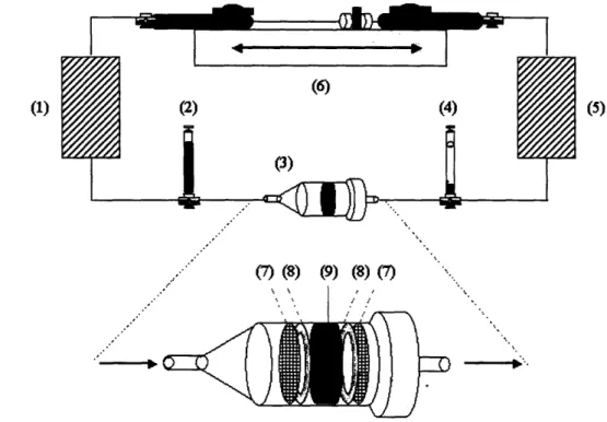 Figure 3.1 Seeding set-up for  alternatingflow perfusion: (1) and (5) gas exchangers; (2) and (4) reservoir syringes;  (3) perfusion  cartridge;  (6) Push/Pull syringe pump