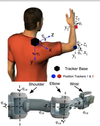 Fig. 1 Human and robot joint angles. The equivalence of the human and robot degrees of freedom is shown