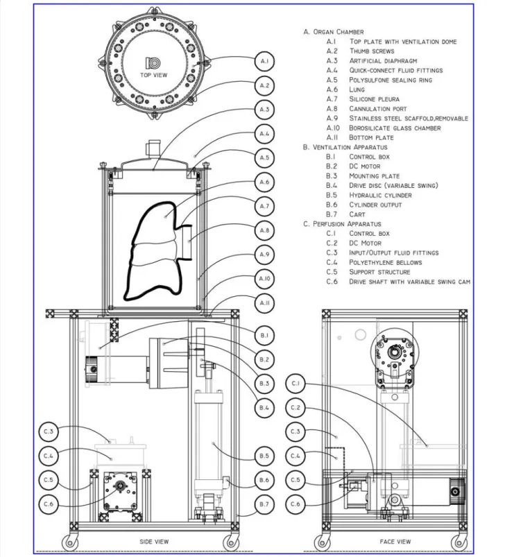 FIG. 1. Technical drawings of the bioreactor. The apparatus is composed of three mechanical modules: the organ chamber (A), ventilation apparatus (B), and perfusion apparatus (C)