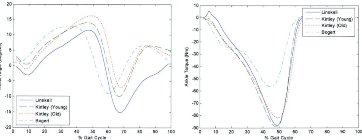 Figure 2.13  The  ankle  angle  and  torque profile  scaled  for a 60kg  person are  shown.