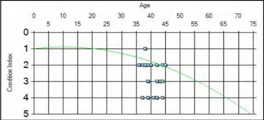 Figure 9.3  Selected deterioration curve for the sewer group in the example 