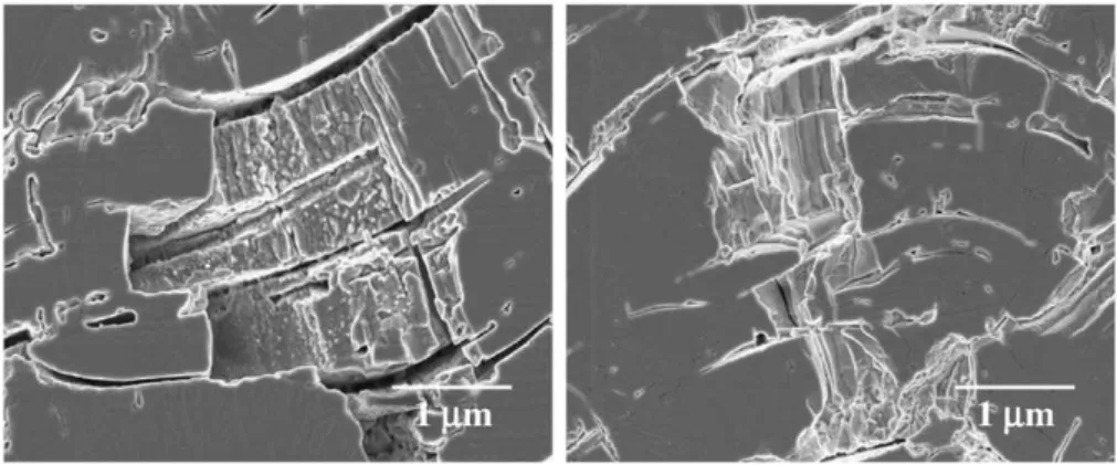Fig. 9. Typical SEM images of Nanox (left) and HOSP (right) samples showing thickness of splats in chemically etched coatings in hot phosphoric acid.