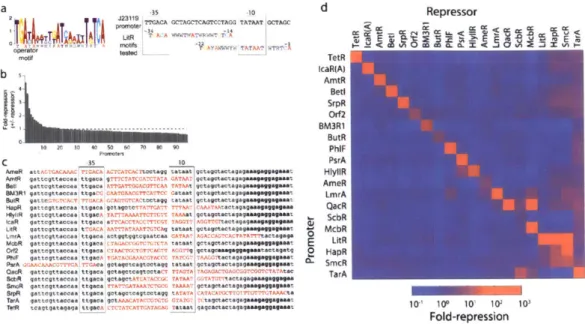 Figure  2-2:  Design  and  screening  of  orthogonal  promoters.  (a)  Degeneracy  in  operator sequences  (Stanton  et  a],  2014)  is  converted  into  a  single  motif