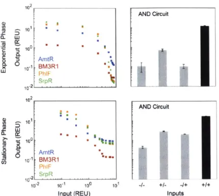 Figure  2-11:  Growth  phase  robustness  of repressors  and  AND  gate.  Left  panel:  Response functions  for  AmtR  (blue  squares),  BM3R1  (red  squares),  PhIF  (orange  squares),  and SrpR  (green  squares)  measured  in  exponential  phase  (top)  