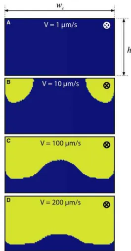 Fig. 5 Theoretical magnetic capture cross section for 500 nm magnetic beads (MasterBeads) flowing at various velocities V in the microfluidic channel