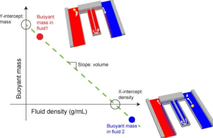 Figure 1.  Graphical description of how cell volume and  density can be obtained from buoyant mass measurements