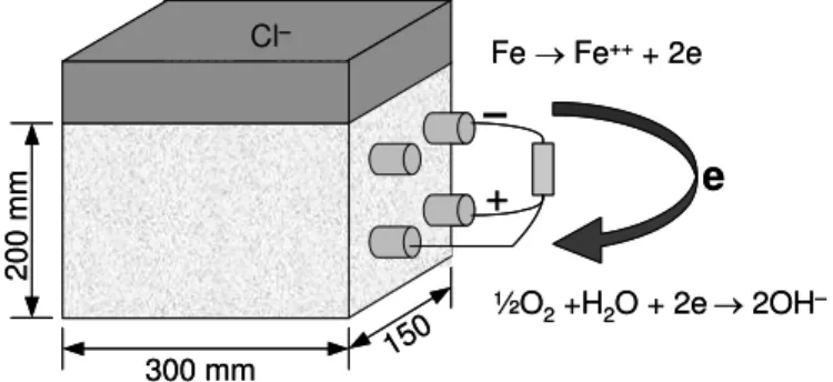 Fig. 1. Setup for tests on concrete prisms 