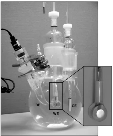 Fig. 2. Setup for tests in electrochemical cells, including: 
