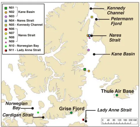 Figure 2  Locations of multi-year ice floes sampled in August 2007  