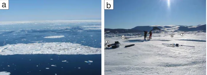 Figure 4  Floe N01 from the (a) air and (b) ice.   