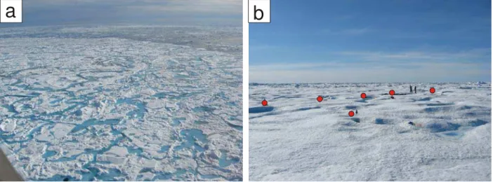 Figure 7  Floe N02 from the (a) air and (b) ice.   