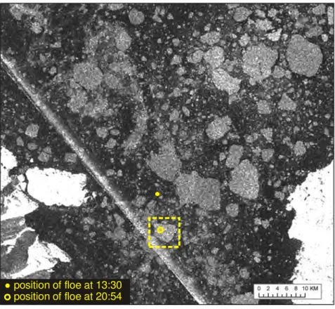 Figure 9  ScanSAR image showing initial and final position of Floe N02, Smith Sound.   