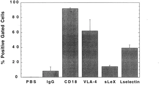 Figure  4-4-9.  A-NK  expression  levels  of  CD18,  VLA-4,  L-selectin,  and sialyl  Lewis  X