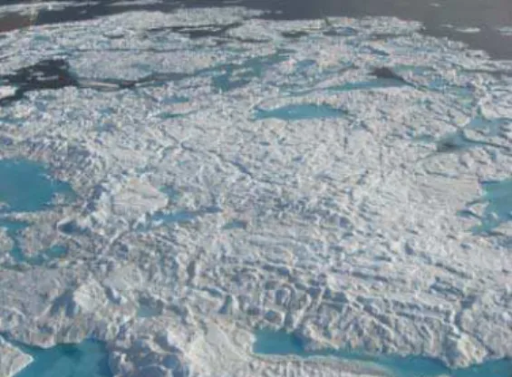 Figure 6  Surface topography and drainage features of a multi-year floe 
