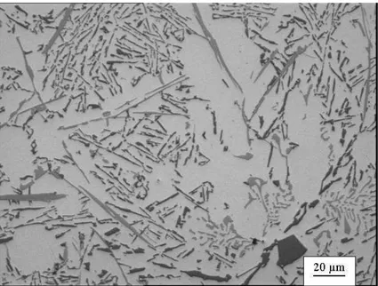 Figure 9. Numerous -Fe plates in a partial modified Al-Si eutectic, containing both Chinese- Chinese-script -Fe particles and primary Si crystal (black) in A413 alloy modified with Cr