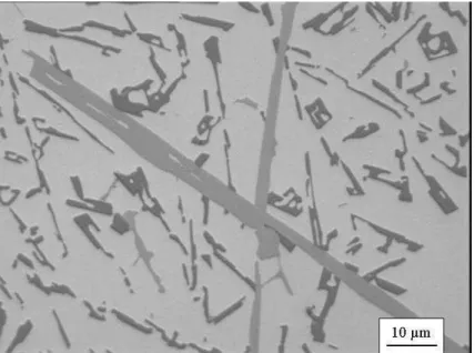 Figure 1.  Microstructure of A41γ alloy with 1.1 wt% Fe showing  -Fe platelets surrounded  by unmodified eutectic silicon particles