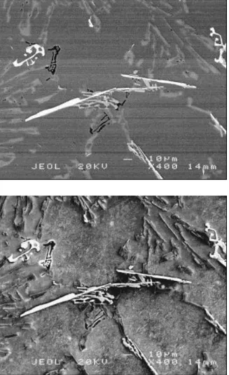 Figure 2.  Typical α - Fe,  -Fe and  π -Fe phases in Al-11.5Si-0.4Mg cast alloy containing Fe and  Mn 