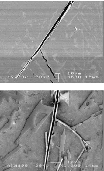 Figure 3.  -Fe platelet and its longitudinal crack in Al-11.5Si-0.4Mg cast alloy containing Fe  and Mn 