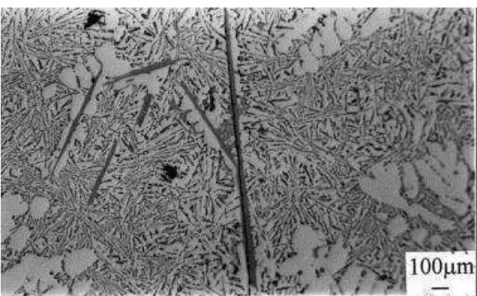Figure 5 .  -Fe platelet and its longitudinal crack in Al-11.5Si-0.4Mg cast alloy containing Fe  and Mn 