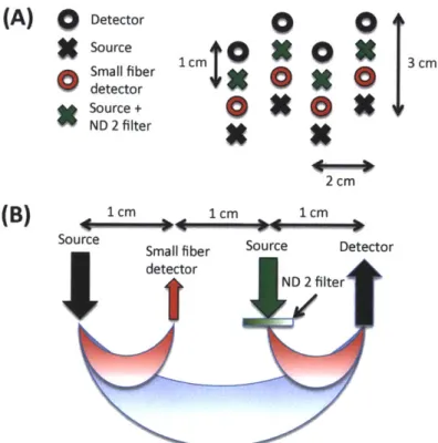 Figure  4-1:  NIRS  probe.  (A)  Geometry  (B)  Sensitivity  In  order  to  avoid  detector saturation,  200  [m-core  fibers  were  used  for  the  SS  detectors  (shown  in  red)  and  a piece  of optical  filter  (Kodak  WRATTEN  ND  2.00)  was  glued  