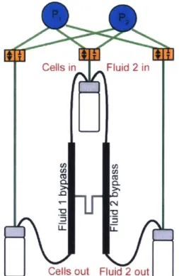 Figure  1.2-4.  Diagram  of  the  fluidic  and  pressure  components  in  the  single  SMR.