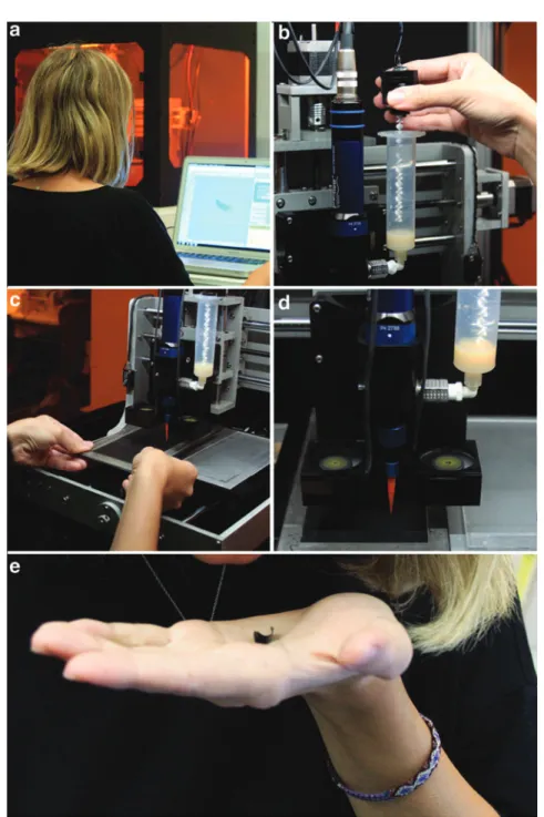 FIG. 12. (a) Load the design in the software platform. (b) Activate the stirring component