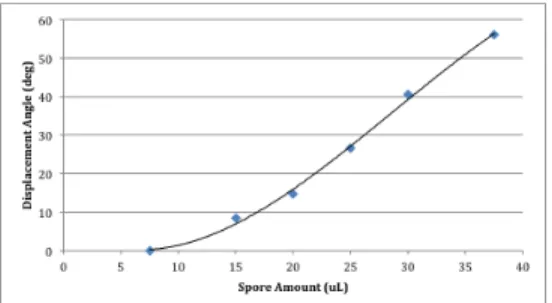 Figure 4: Spore actuators follows the vein structures  of leaves to create biomimetic transformation