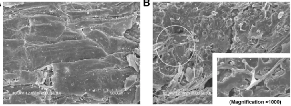 Fig. 1 Scanning electron microscopic image of depolymerized microfibrils from RS substrate that was biopretreated by advanced WSMB program