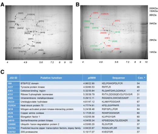 Fig. 2 Differential proteomic display of conserved WSMB biocascade. Biodegradable organism (here P