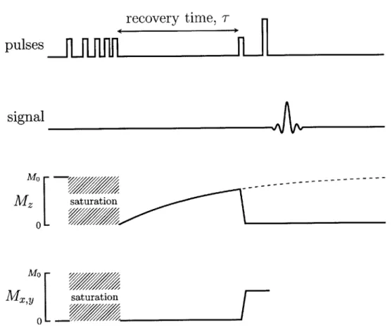 Figure 2-2:  Saturation Recovery measures  the longitudinal, or spin-lattice relaxation.