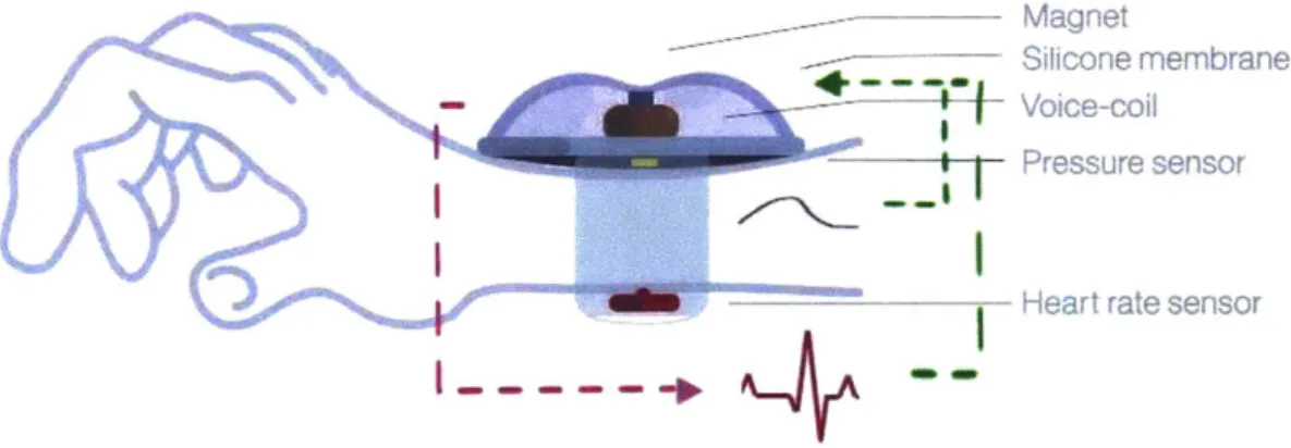 Figure  4-7: Mechanism  of HRV regulation  by subliminal tactile feedback