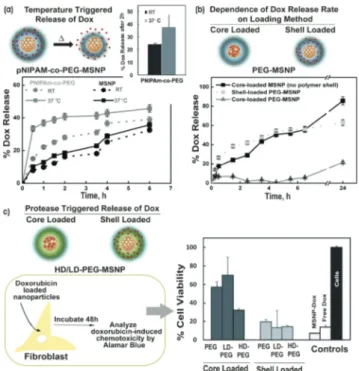 Figure 2. Controlling drug release from polymer-coated MSNPs: (a) Temperature-triggered release of doxorubicin from pNIPAM-co-PEG coated MSNPs