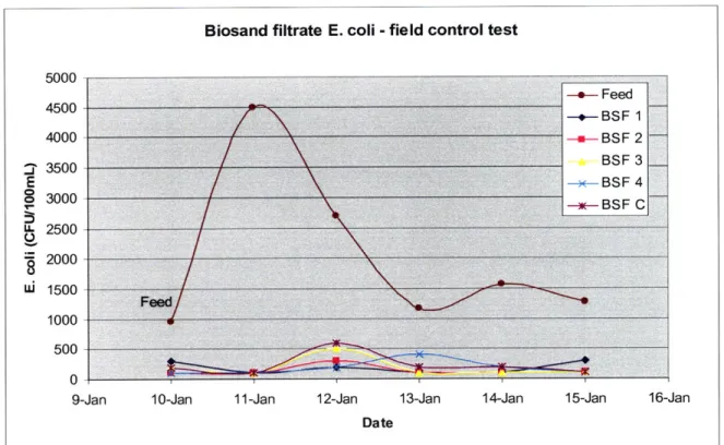 Figure 5-13  E. coli  counts  in BSF influent  and effluent,  control tests