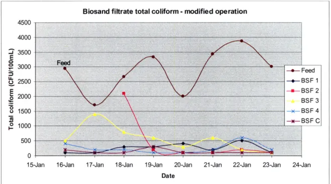 Figure 5-17  Total coliform  counts  in BSF influent  and effluent, modified  operation