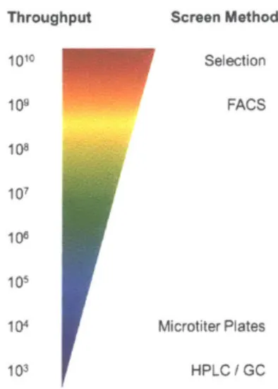 Figure  1.3.  Throughput  increase with biosensor-based  screening. Adapted  from Wang,  Q.,  et