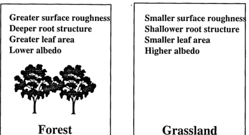Figure 2-1: Characteristics of vegetation which affect the surface energy balance.