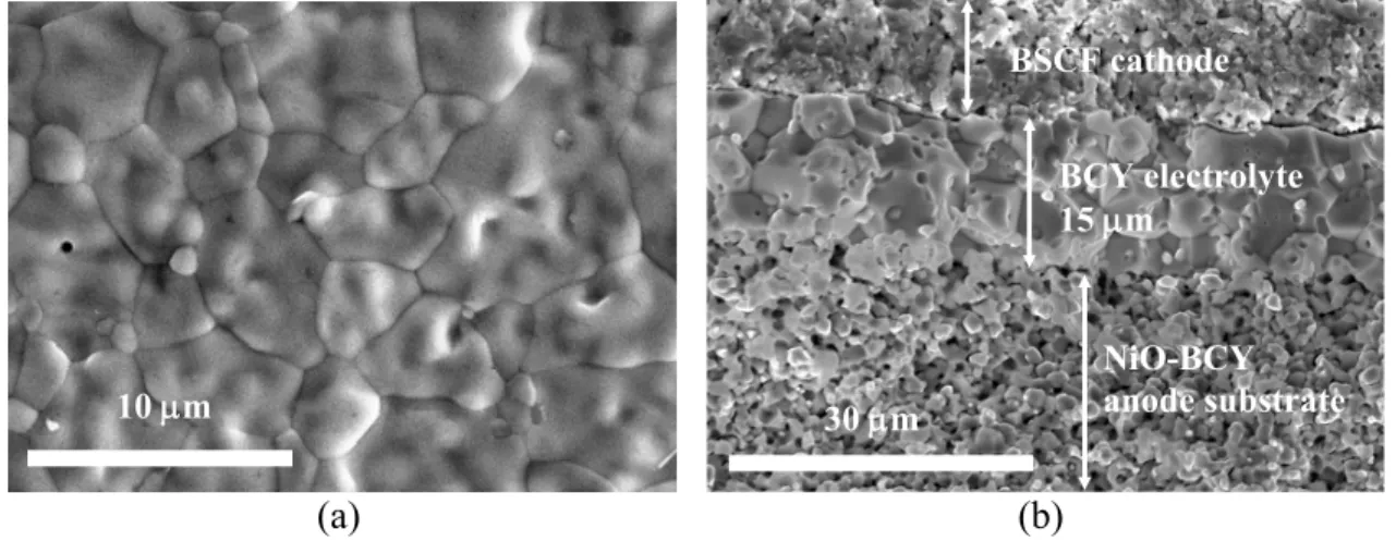 Figure 1.  Scanning electron micrographs of (a) the surface morphology and (b) the  fracture cross-section of BCY thin film electrolyte on a porous NiO-BCY support