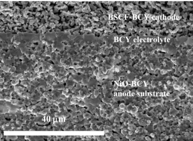 Figure 2.  Scanning electron micrograph of the fracture cross-section of BSCF- BSCF-BCY//BCY//NiO-BCY single cell fabricated by tape casting process and wet colloidal  spray
