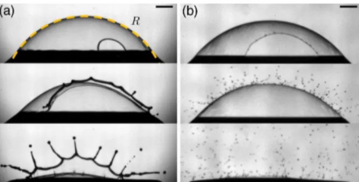 FIG. 1. Bubbles bursting after (a) 4 s and (b) 55 s at the surface of water with 0.61 and 0.21 ms between frames, respectively