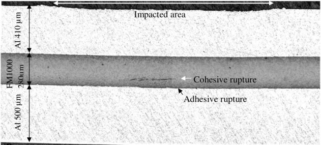 Figure 4. Laser-ultrasonic B-Scan image in a transmission configuration for the Al/FM1000/Al sample