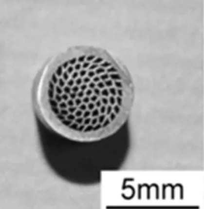 Fig. 4. Cross section of tubular structure obtained by extrusion and sacrificial leaching (Courtesy of H