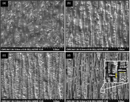 Fig. 3. SEM morphology of microtomed and etched surface for SEBS–HDPE blend membranes containing (a) 30 wt.% HDPE, (b) 40 wt.% HDPE, (c) 50 wt.% HDPE, and (d) 60 wt.%