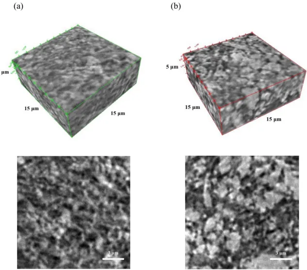 Figure 1. 3D reconstructions (top) and 2D (x-y) slices (bottom) of nano-CT scans acquired on  (a) biphasic (0.3wt% PVP) and (b) purely attractive (0 wt%PVP) electrode suspensions  composed of 20 vol% LFP and 1.25 vol% KB