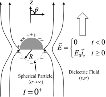 FIG. 1. Electric field lines around a perfectly conducting sphere with radius R surrounded by a dielectric fluid with a permittivity of  and conductivity r stressed by a uniform z-directed electric field, E ~ ¼ E 0 ~iz ; turned on at t ¼ 0.
