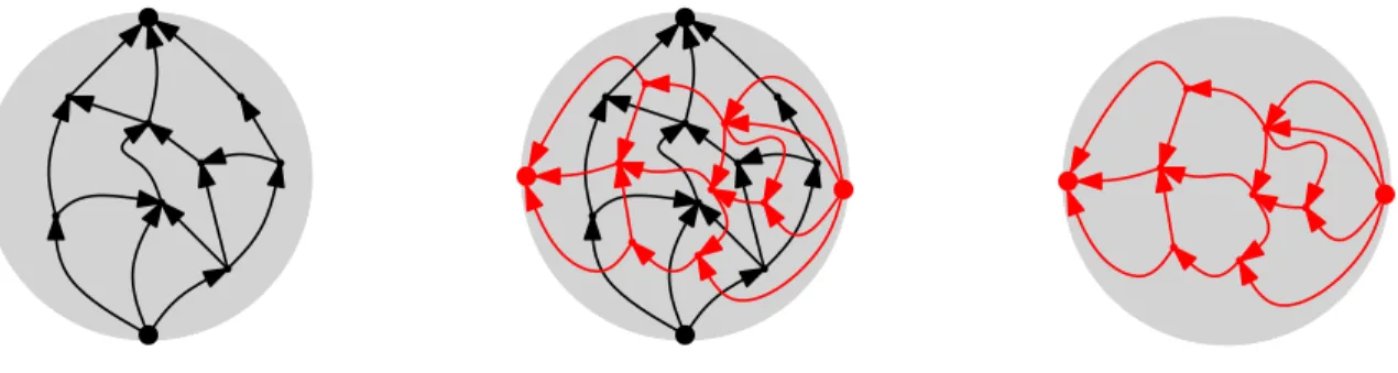 Figure 1: Left: A planar map embedded in a disk with two boundary vertices, with a north-going bipolar orientation