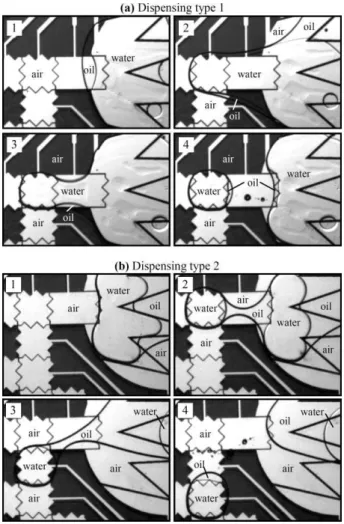 Fig. 4 illustrates the process of creating core–shell droplets on- on-chip from a larger reservoir